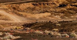 又一个美女要被吓哭了！《寂静岭f》凛子演员将接力直播