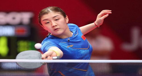 己的篮球风 己的篮球风